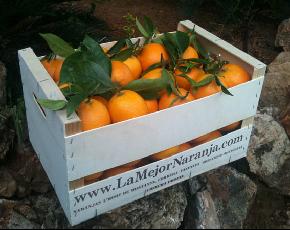 Lamejornaranja.com Lamejornaranja.com