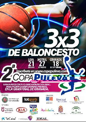 Cartel Copa Puleva Cartel Copa Puleva