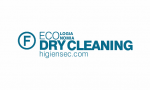 Noticias Franquicias | 1334833713_06-ecodry-logia-nomia-logo-verd.png