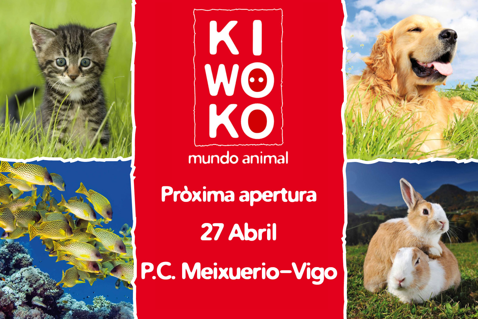 masa botella repertorio Kiwoko inaugura la tienda de animales más grande de Galicia