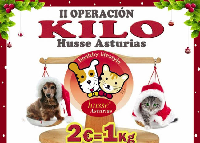 Husse Asturias pone en marcha por segundo año consecutivo la campaña solidaria “Operación Kilo”