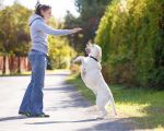 Los nombres de perro más usados en 2013