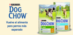 Dog Chow: El pienso líder para perros vuelve a España
