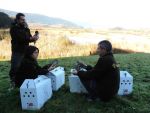 Urdaibai Bird Center implanta nuevas tecnologías para la monitarización de aves