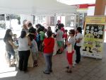GRUPO GENERALA participa en el Día de la Energía en Fuente Álamo