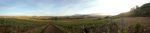 Lluvia de premios para el vino ecológico de Castillo de Mendoza