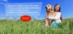 Las mascotas celebran el verano con las fotos más graciosas