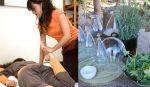 Templo del Masaje recomienda los nutrientes espagíricos para potenciar los efectos de sus tratamientos