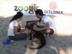 ZOOGIC lee la mente de perros para su bienestar y el de sus clientes