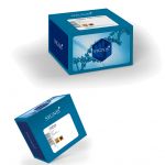 SYGNIS desarrolla su primer kit para amplificación de ADN de genoma 