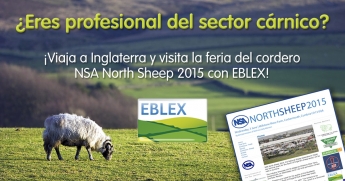 EBLEX lanza una campaña para profesionales cárnicos y restauradores