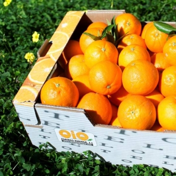 Naranjas Quique, 12 años vendiendo naranjas valencianas a domicilio