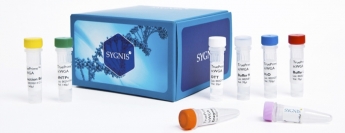 SYGNIS lanza kit para amplificación  genoma  a partir de una  célula