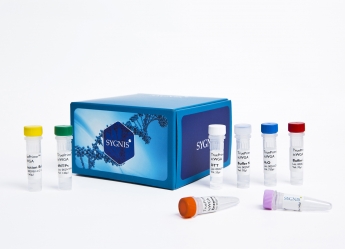 SYGNIS lanza hoy al mercado un kit para la amplificación de ADN y ARN