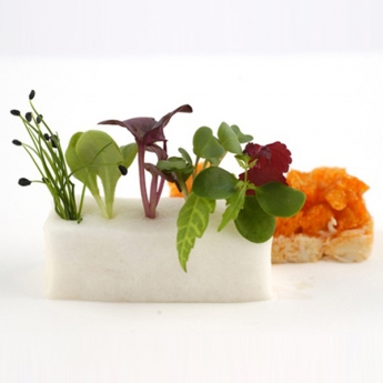 Albert Adrià i los microvegetales, protagonizan el Concurs de Cuina Jove de Cataluña