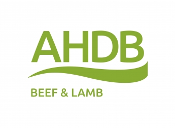 EBLEX cambia de marca a AHDB Beef and Lamb