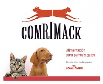 Comrimack Alicante, S.L. celebra su 30 aniversario en el marco de su colaboración con la consultora CEDEC