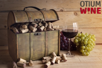 Otiumwine, la nueva bodega online de referencia