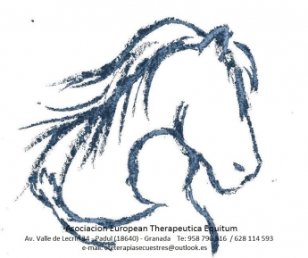 Terapias con caballos, Equinoterapia o IAC