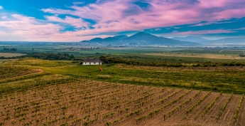 Vinos Cutanda, la compra online de vinos de nuestra tierra