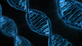 Científicos genetistas crean un biochip para localizar el gen del color de los ojos