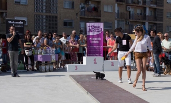 Más de 100 inscritos en el II Desfile Canino Guau, Qué Pelos!