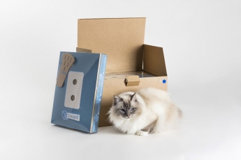Covipet, el arenero ecológico para mascotas 