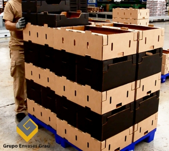 Grupo Envases Grau revoluciona el sector de envases de cartón con su sistema modular