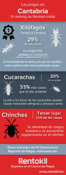 Cantabria, entre las comunidades con más plagas de termitas y carcomas