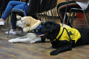 La Fundación Canadd Internacional entrega nuevo perro de servicio para Esclerosis Múltiple