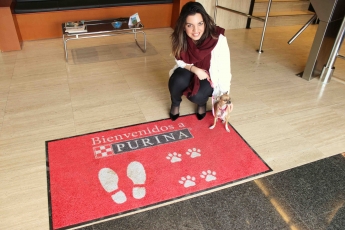 Purina anima a las empresas españolas a ser Pet Friendly en el día mundial de llevar tu mascota al trabajo