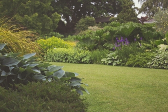 Limpiezas Azahara revela algunos secretos para mantener un jardín en verano