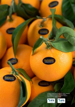 Sunzest Fruits acerca las naranjas valencianas también a los hogares