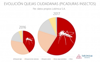 El mosquito tigre es, por primera vez, el principal insecto picador en el mediterráneo peninsular