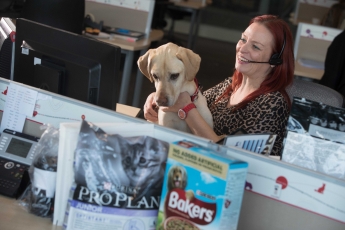 Purina lanza el primer informe sobre sus compromisos con la sociedad
