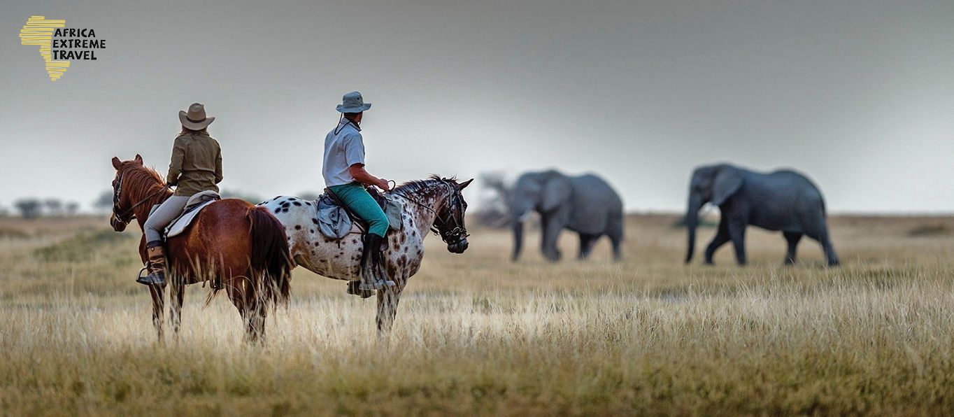 Africaextreme.travel organiza safaris a caballo