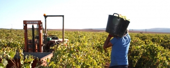 Casa Pareja propone la huerta ecológica como la base de una vida saludable
