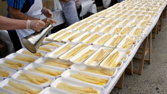 La XXII Feria del Espárrago de Navarra tendrá lugar el 6 de mayo en Dicastillo
