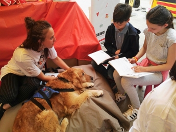 PURINA y CTAC celebran la Diada de Sant Jordi con una jornada de lectura con perros 