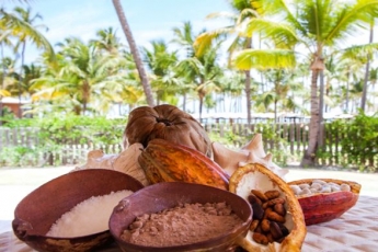 Tratamientos de belleza 100% locales en Barceló Bávaro Grand Resort