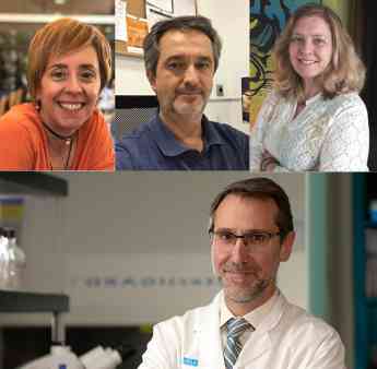 Baleares, Canarias, País Vasco y Levante concentran la mayor mortalidad en melanoma