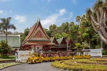 Loro Parque será sede de la reunión mundial de zoos en 2022