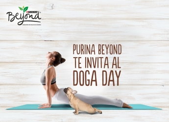 Purina Beyond organiza la mayor Master Class de yoga con perros de España 