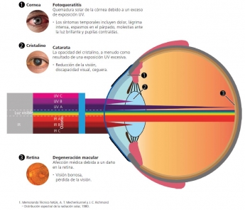 La radiación UV puede perjudicar a los ojos y el tejido que los rodea, según ZEISS