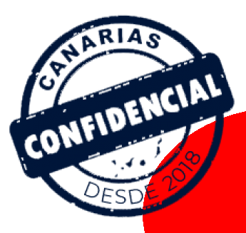 Canarias Confidencial; un periódico para todos los canarios y para los que vienen a Canarias