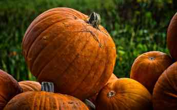 Garden Hotels prepara promociones especiales para Halloween 2018