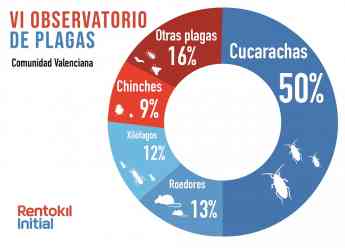 Casi el 50% de las llamadas por plagas en la Comunidad Valenciana en 2017 se debieron a las cucarachas