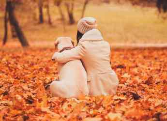 Las curiosidades científicas más increíbles de los perros contadas por Aristopet