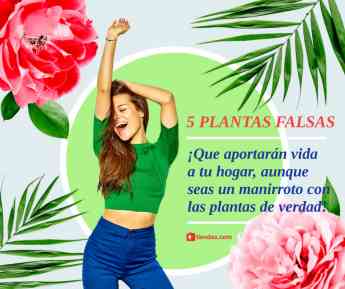 5 plantas artificiales que aportan vida al hogar y  protegen la salud de sus ocupantes, según tiendas.com