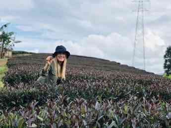 El té morado aterrizará en España y Argentina de la mano de El Club del Té